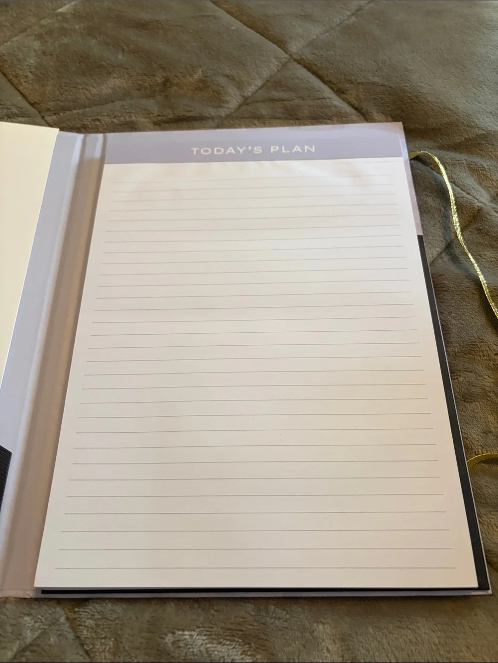C Wonder Floral Poodle Clipboard Notepad with Gold Pen